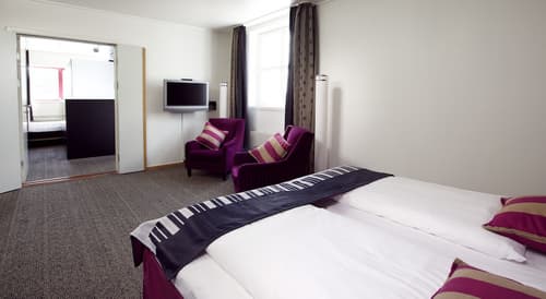 Home Hotel Arcticus, Room