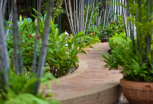 Dusit Princess Srinakarin, Garden