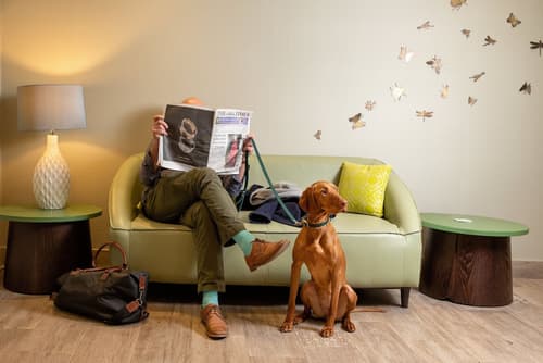 Bedford Hotel, Lobby