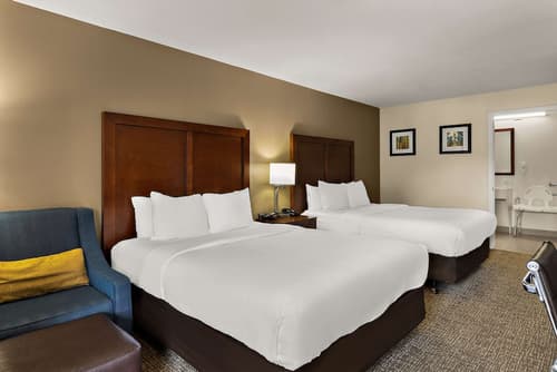 Comfort Inn & Suites Sequoia/Kings Canyon, Room