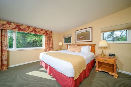 Stoweflake Mountain Resort & Spa, Room