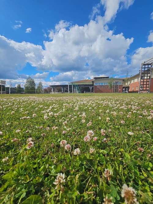 Aurum Hotel, Children's play area - outdoor
