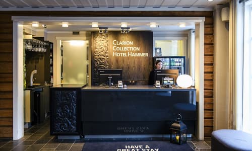 Home Hotel Hammer, Lobby