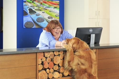 Accent Inns Burnaby, Reception