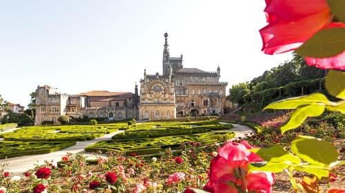 Bussaco Palace Hotel, Exterior