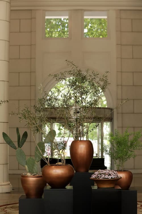 Park Hyatt Mendoza, Lobby