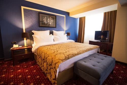 Ani Plaza Hotel, Room