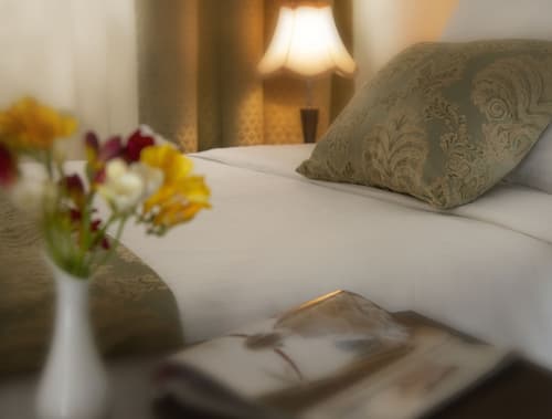 Ani Plaza Hotel, Room