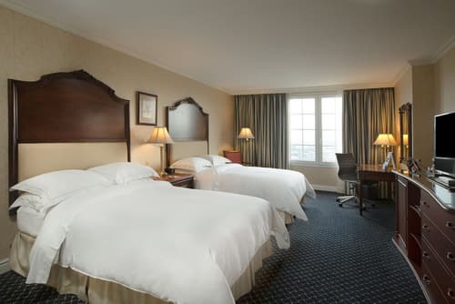 Barceló San Salvador, Primary image