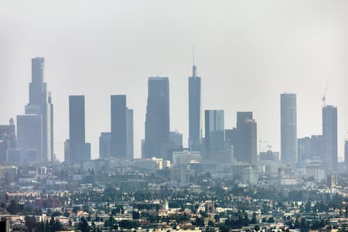 Loews Hollywood Hotel, Room
