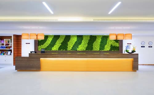 Hilton Garden Inn Ras Al Khaimah, Reception