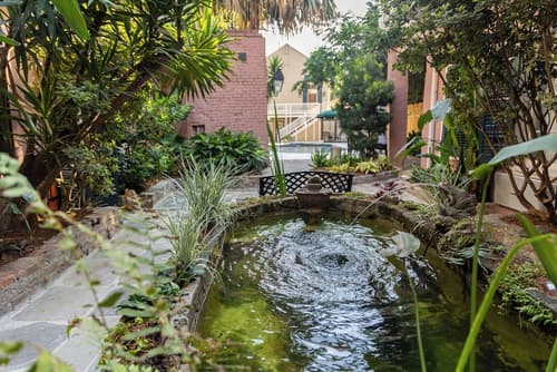 Lamothe House, Courtyard