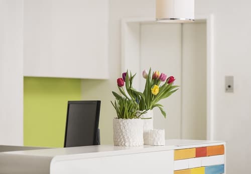 Creatif Hotel Elephant, Reception