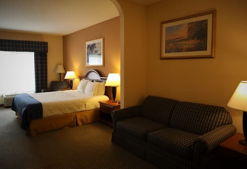 Oasis Inn & Suites Joshua Tree - 29 Palms, Room