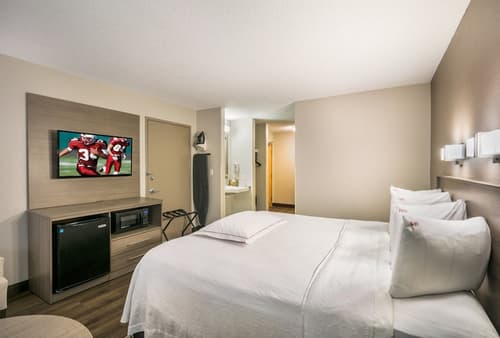 Red Roof Inn PLUS+ Boston - Logan, Room