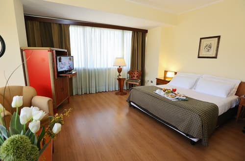 Hotel Royal Palace, Room