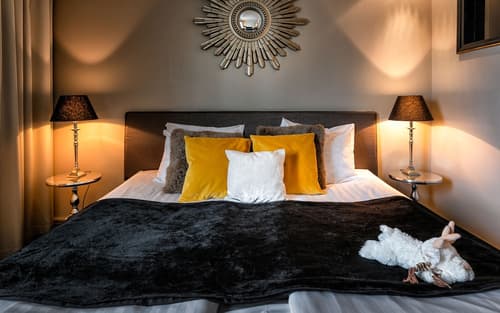 Arctic City Hotel, Room