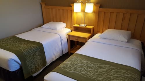 Econo Lodge Inn & Suites, Room
