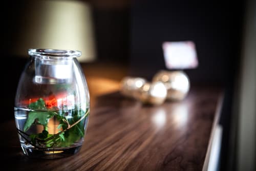 Best Western Hotel River C, Interior entrance