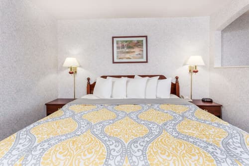 Days Inn by Wyndham Battlefield Rd/Hwy 65, Room