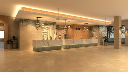 Hotel Riu Jalisco - All Inclusive, Reception