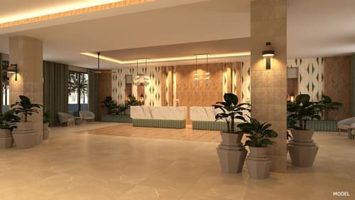 Hotel Riu Jalisco - All Inclusive, Reception