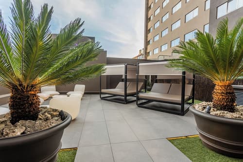 HF Fénix Porto, Terrace/patio