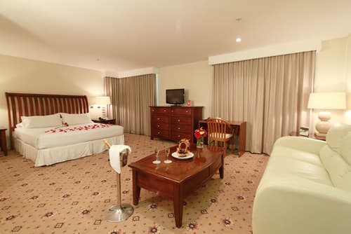 Hotel Torremayor Lyon, Room