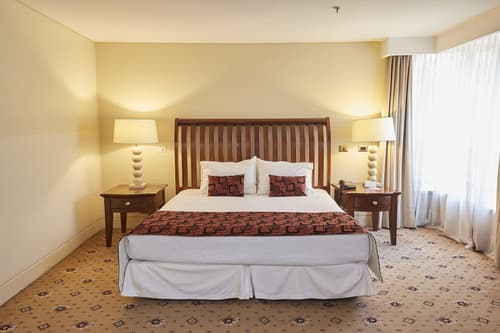 Hotel Torremayor Lyon, Room