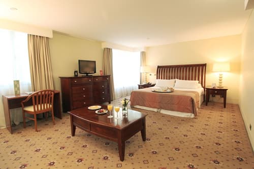 Hotel Torremayor Lyon, Room