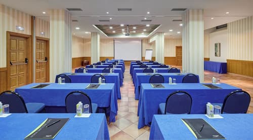 Sercotel Toledo Renacimiento, Meeting facility