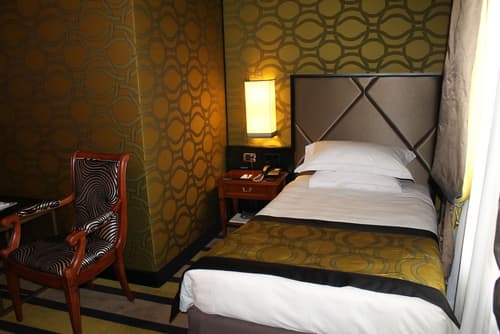 Grand Visconti Palace, Room