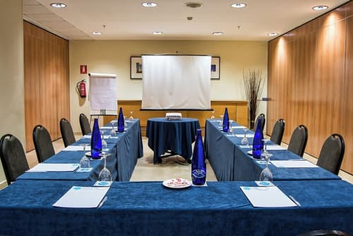 Hotel Vértice Sevilla, Meeting facility