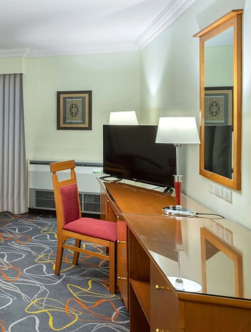 Radisson Blu Hotel Yanbu, Room