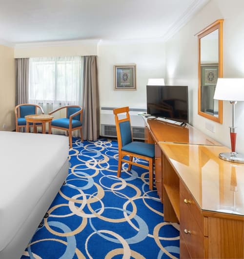 Radisson Blu Hotel Yanbu, Room