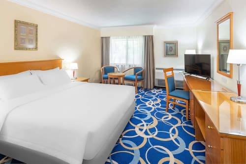 Radisson Blu Hotel Yanbu, Room