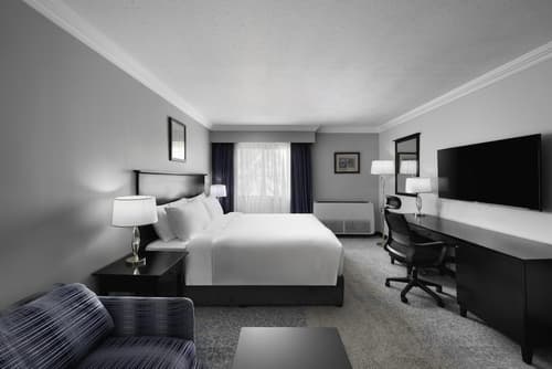 Radisson Blu Hotel Yanbu, Room