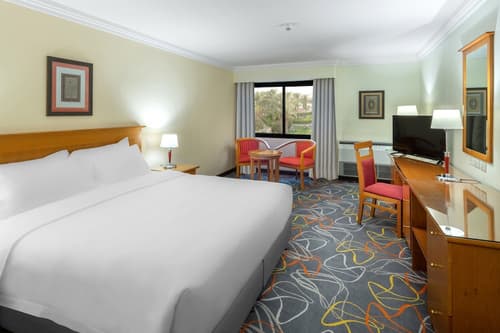 Radisson Blu Hotel Yanbu, Room