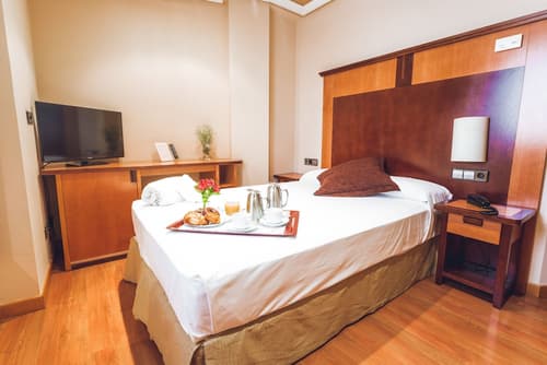 Hotel Bardo Recoletos Coco, Room