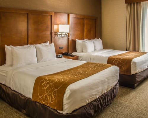 Quality Suites NYC Gateway, Room