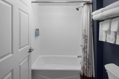 Residence Inn by Marriott Holland, Room