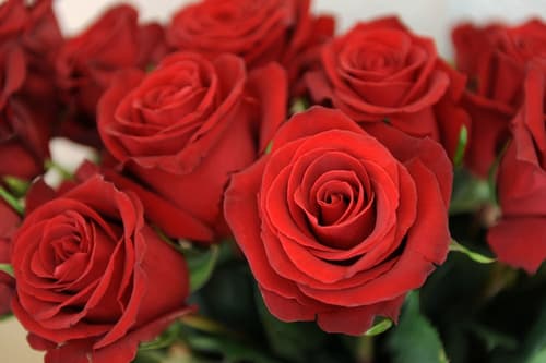 Hotel Derby Interlaken - Action & Relax Hub, Room