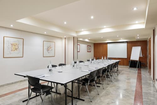 Hotel Best Aranea, Meeting facility