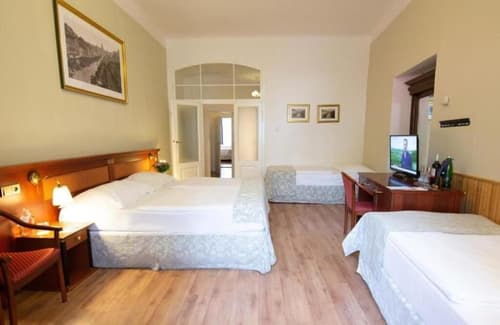 Wenceslas Square Hotel - Czech Leading Hotels, Room