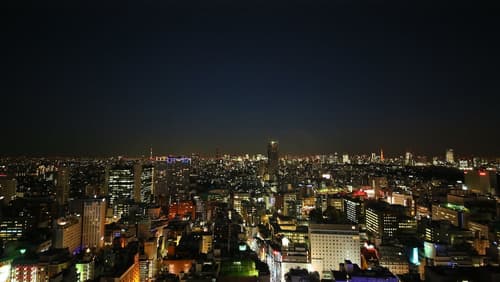Hotel Gracery Shinjuku, View from property
