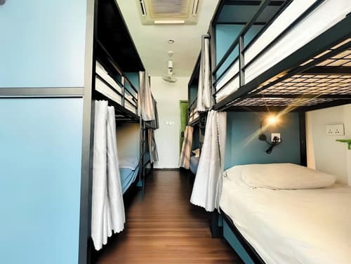 Beary Best! Hostel, Room