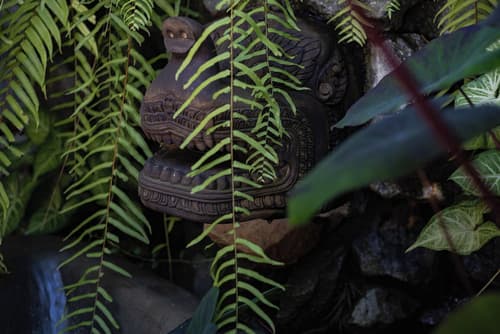 Lynnaya Urban River Resort, Room