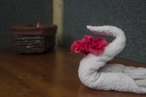 Casa Drake, Interior entrance