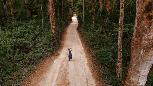 Pemba Eco Lodge, Ecotours