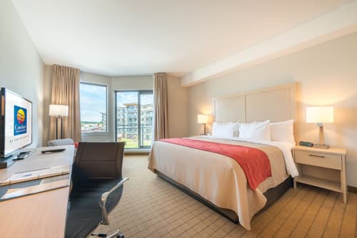 Comfort Inn & Suites, Room